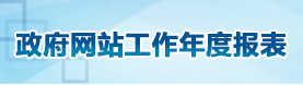 政府網站工作年度報表
